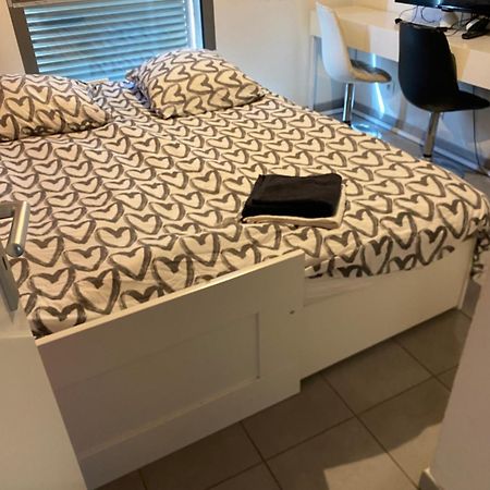 Superbe Appartement Avec Terrasse Toulouse Exterior foto